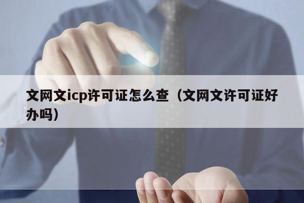 文网文icp许可证怎么查（文网文许可证好办吗）