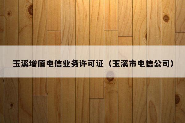 玉溪增值电信业务许可证（玉溪市电信公司）