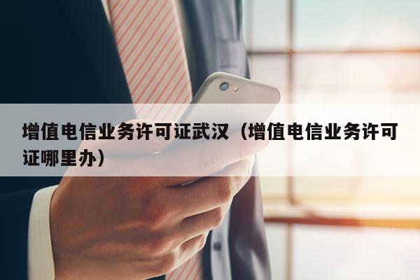 增值电信业务许可证武汉（增值电信业务许可证哪里办）