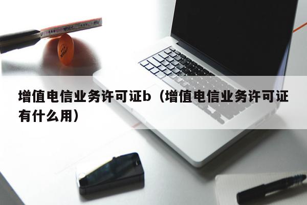 增值电信业务许可证b（增值电信业务许可证有什么用）
