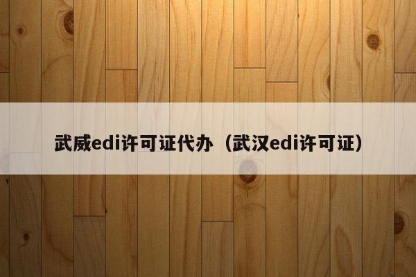 武威edi许可证代办（武汉edi许可证）