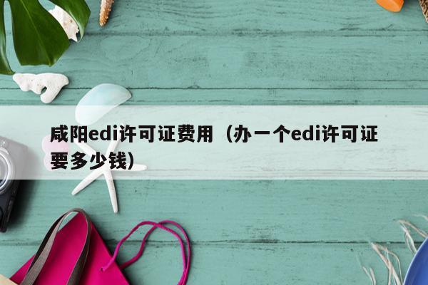 咸阳edi许可证费用（办一个edi许可证要多少钱）