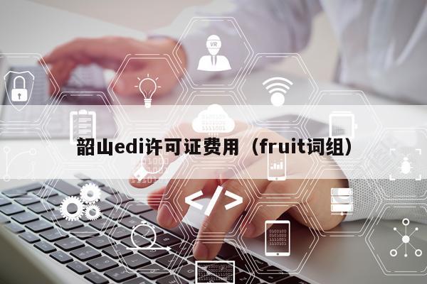 韶山edi许可证费用（fruit词组）